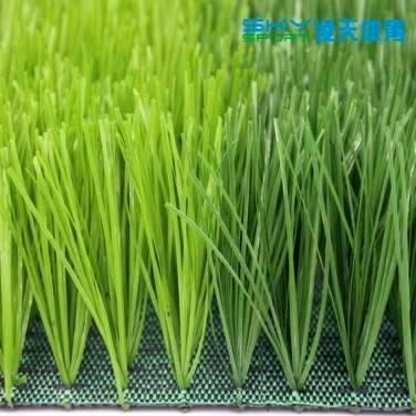 广州K8凯发体育：春季单筋人造草坪
